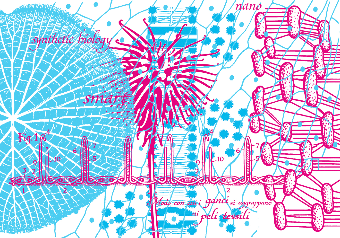 Life · Membranes · Architecture