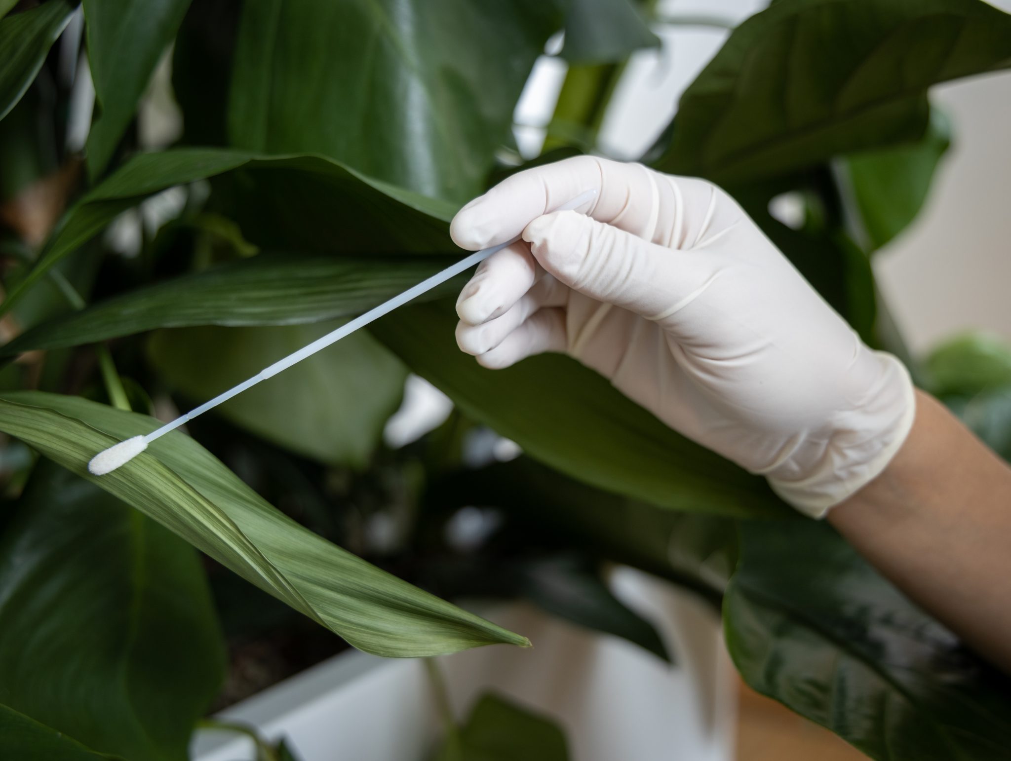 Breathed Air – Architecture Meets Microbes